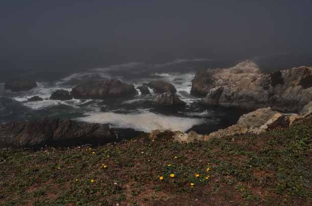 Bodega Head